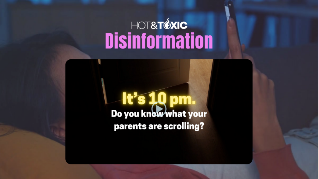 Hot & Toxic: Disinformation