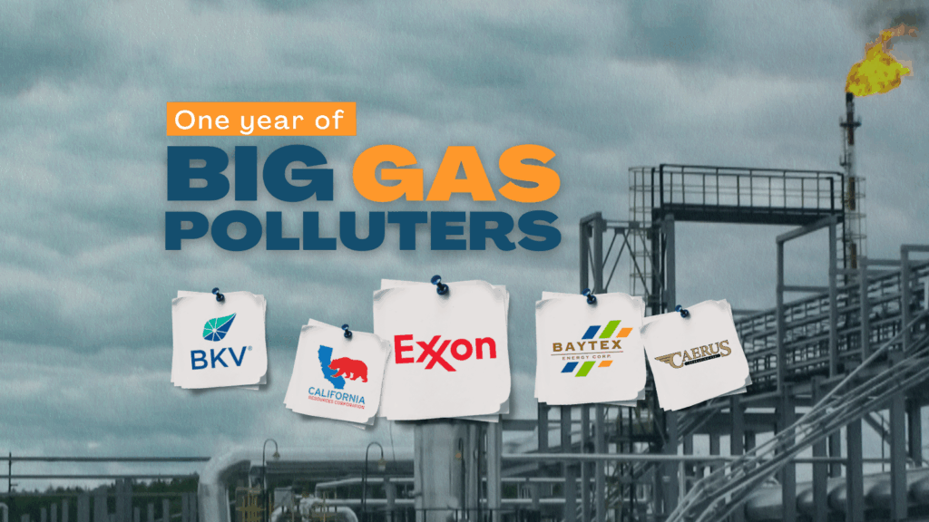 One year of biggaspolluters